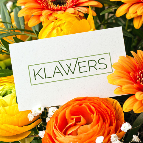 Klawers 02 1000p